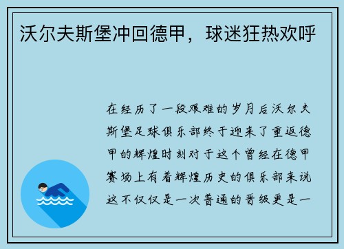沃尔夫斯堡冲回德甲，球迷狂热欢呼